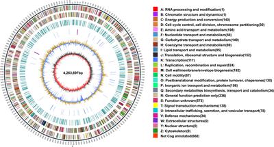 Whole-genome sequencing and comparative genome analysis of Xanthomonas fragariae YM2 causing angular leaf spot disease in strawberry